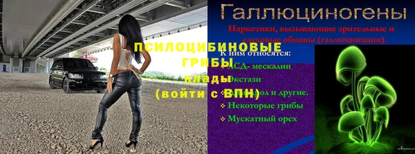 прущий лед Богданович